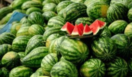 网红吃瓜群qq,揭秘娱乐圈幕后风云